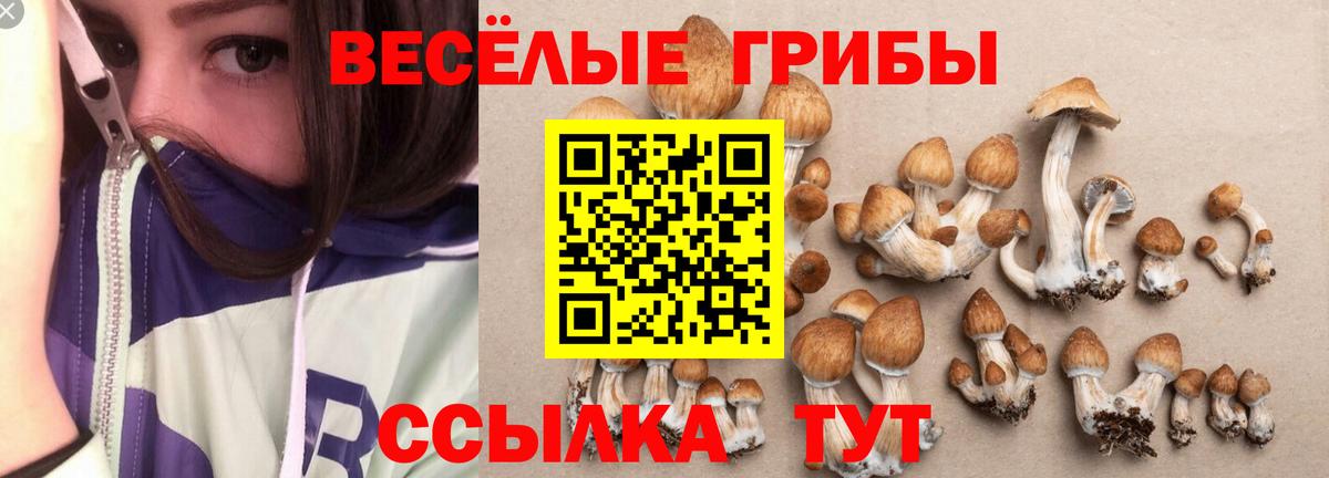 Галлюциногенные грибы Psilocybe  Вход с VPN  Семилуки 